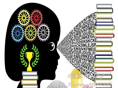 Bodrum Ales Hızlı Okuma