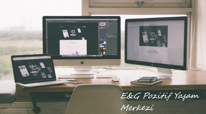 Bodrum Uzmanlık Programları